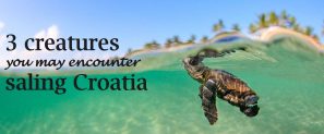croatian aquatic wildlife